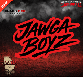 Georgia Bloodline "Red" and Black JAWGA Series Sticker
